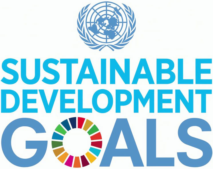 Sustainable Development Goals Sustainable Development Goals
